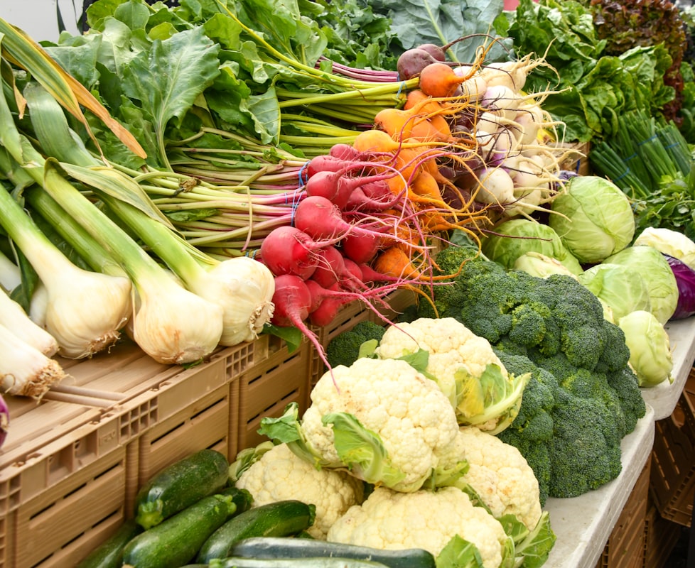 Equilibrio alimentare e nutrizione bilanciata